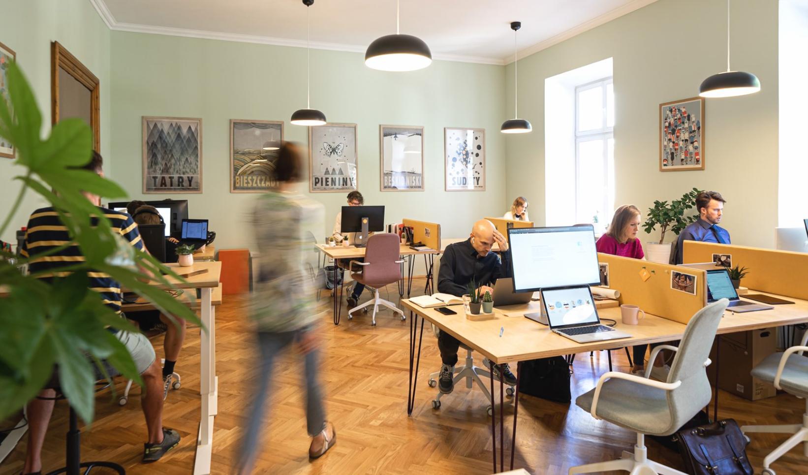 Zespół Foquqiy przy pracy nad systemem raportowania